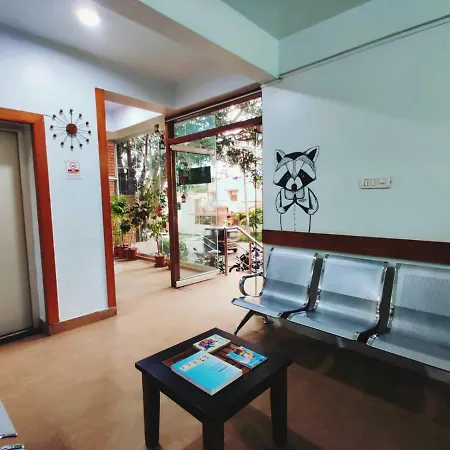 Raccoon Rooms-2