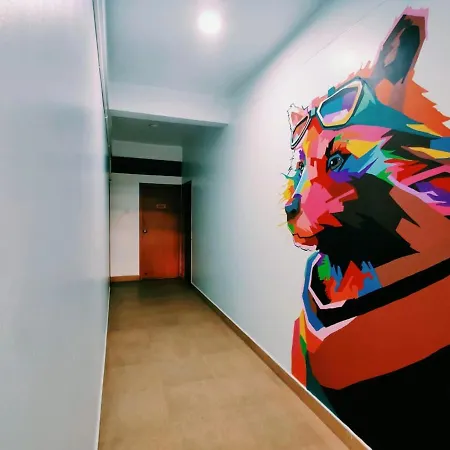 Raccoon Rooms-3